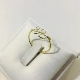 ANEL FOLHAS VAZADAS DOURADO