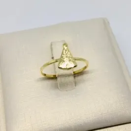 ANEL NOSSA SENHORA APARECIDA LISO ROS
