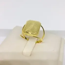 ANEL NOSSA SENHORA APARECIDA PLACA LISA ROS