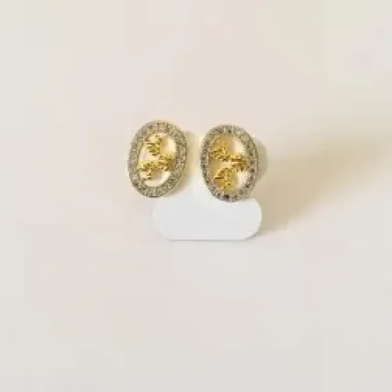 BRINCO OVAL MICROZIRCONIA PEQUENO 