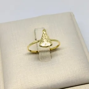 ANEL NOSSA SENHORA APARECIDA LISO ROS
